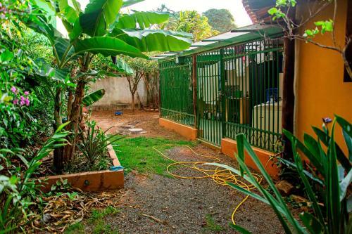 Chal� Ip� - Jatob�