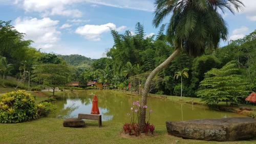Hostal Pousada Novo Xod�