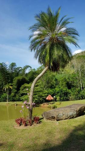 Hostal Pousada Novo Xod�