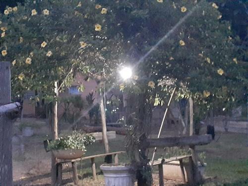 Agroturismo Pousada Portela Chal�s