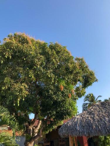 Hostal Pousada Aruna Kite