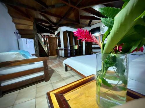 Reservamazon Forest Hotel
