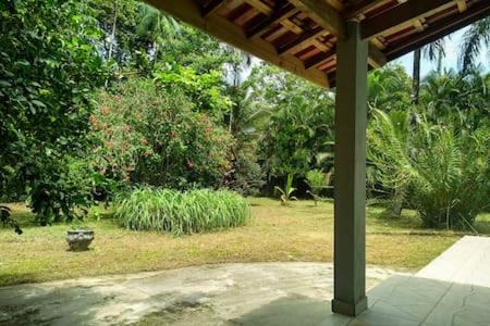 Babu�s House Bertioga