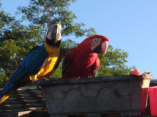 Hostal Pousada Do Joca Bonito/ms