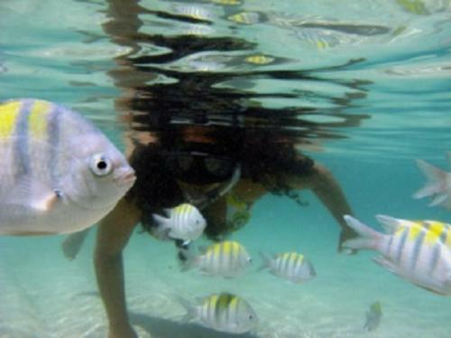 Bangal� No Morer� Vista Mar
