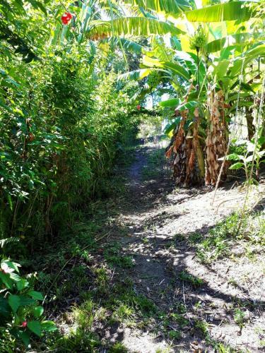 Bangal� No Morer� Vista Mar