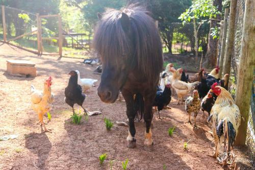 Agroturismo Pousada E Restaurante Vict�rios