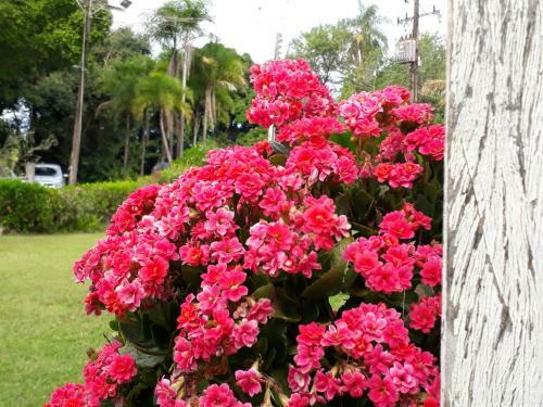 Hostal Sitio Ecologico Scandolo