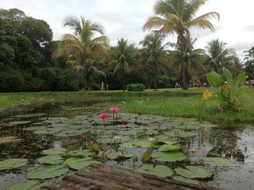 Hostal Sitio Ecologico Scandolo