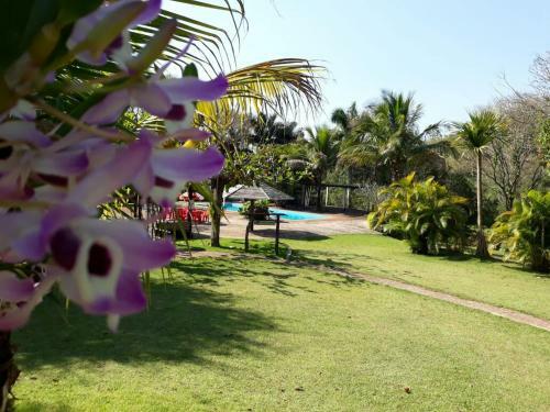 Hostal Sitio Ecologico Scandolo