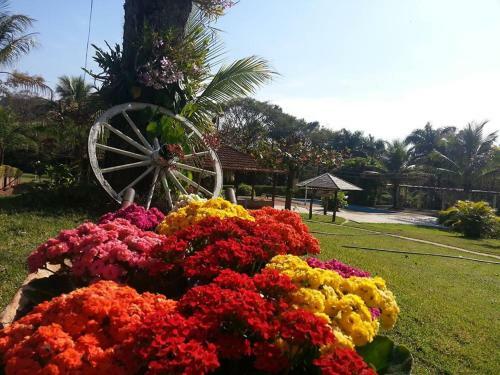 Hostal Sitio Ecologico Scandolo