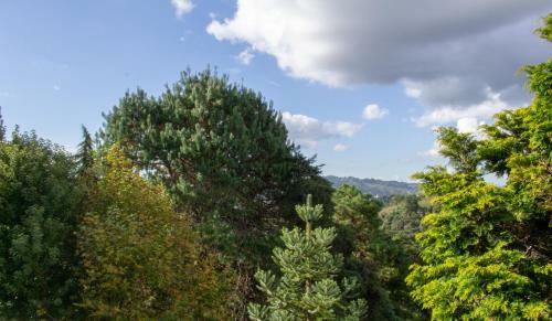 Hostal Casa Bicho Pregui�a Village