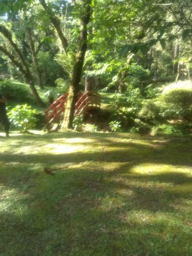 Hostal Canto Das Arauc�rias