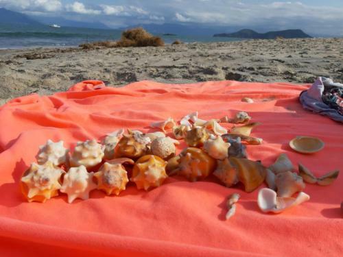 Apartamento A Ver O Mar Beach House