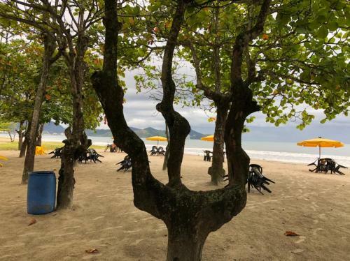 Conforto Em Caragu�