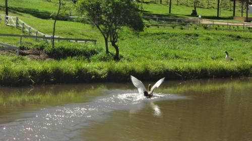 Hostal Pousada Colar De Ouro Chal�s