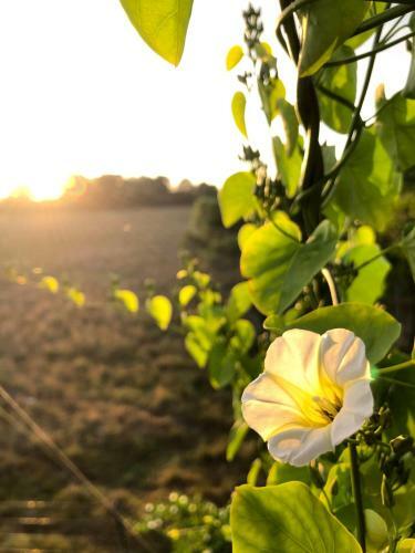 Recanto Da Horta ? Viva O Natural Em Floripa