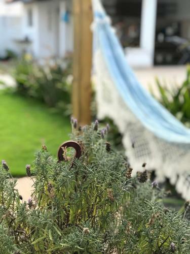 Apartamento Loft Charmoso - Praia Do Campeche