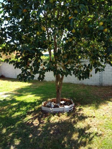 Guest House Fam�lia Canal