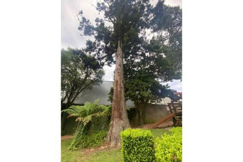 Apartamento Super Aconchegante 1d 600m R. Coberta
