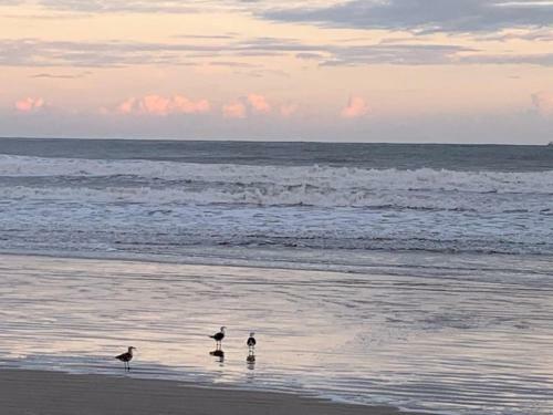 Apartamento Good Vibes No Guaruj�