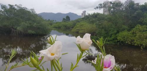 Perequ� Paradise Com Caf� Da Manh�