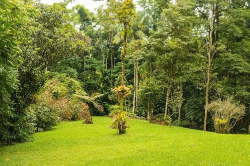 Linda Casa Em Penedo