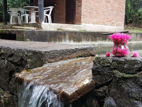 Linda Casa Em Penedo