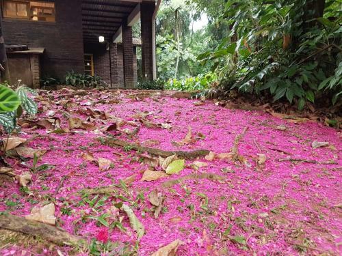 Linda Casa Em Penedo