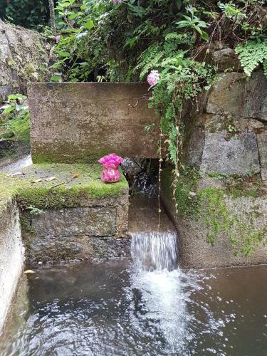 Linda Casa Em Penedo