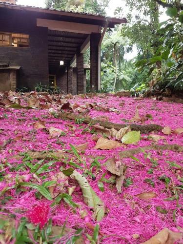 Linda Casa Em Penedo