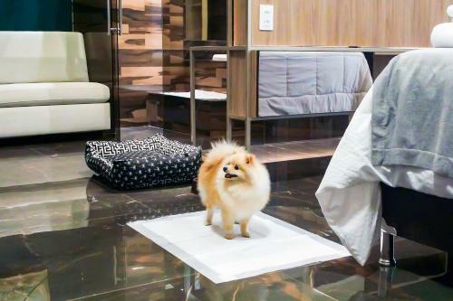 Apartamento One Hotel