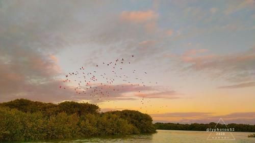 Hotel Pousada Ians�