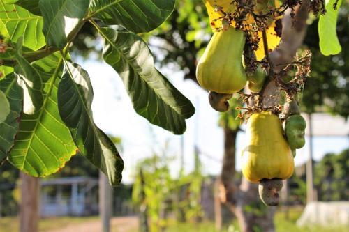 Agroturismo Para�so D��ngelo