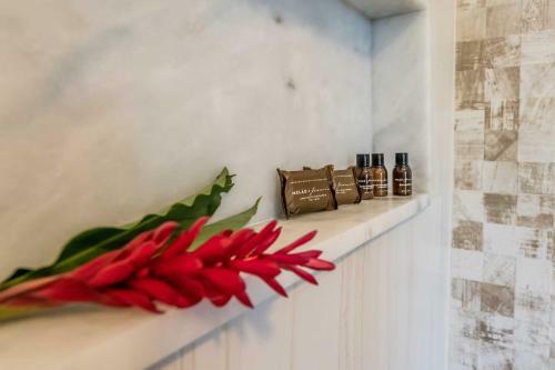 Hotel Taipu Bay Pousada - Taipu de Fora