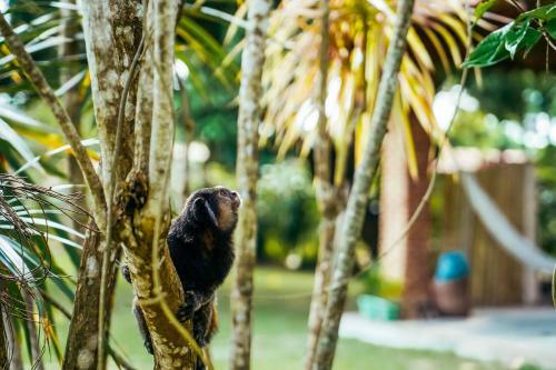 Hostal Aqualtune Pousada