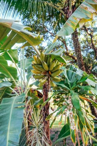 Hostal Aqualtune Pousada