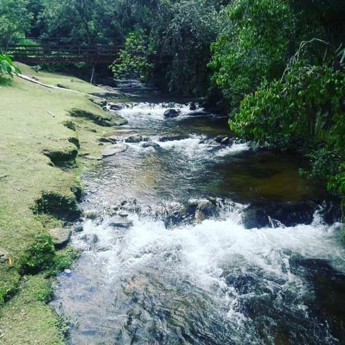 Apartamento Chale. Truta. Da. Floresta. 2