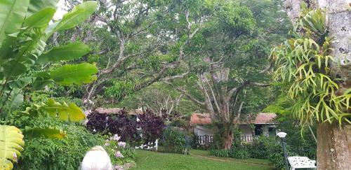 Hostal Pousada Jardim Secreto