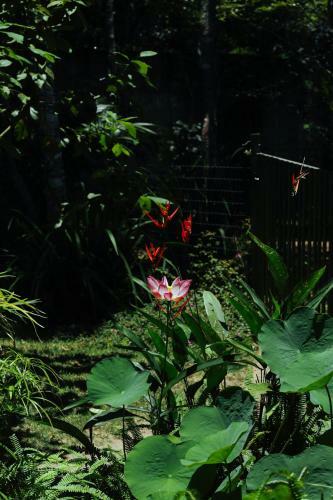 Monkey Forest Chal� And Camping