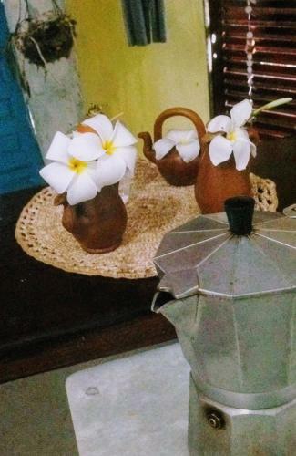 Bed & Breakfast Napraia Hostel Casa Zen