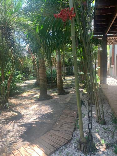 Casa Palmeira
