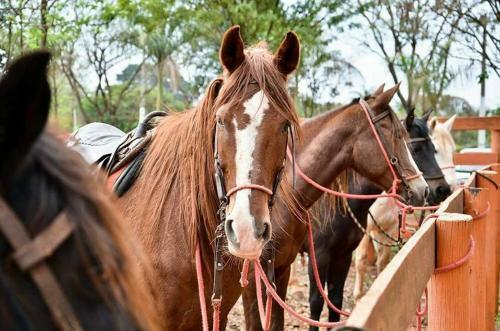 Agroturismo Estancia Montagner
