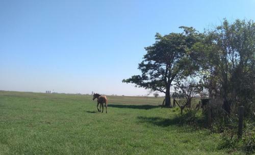 Agroturismo Estancia Montagner