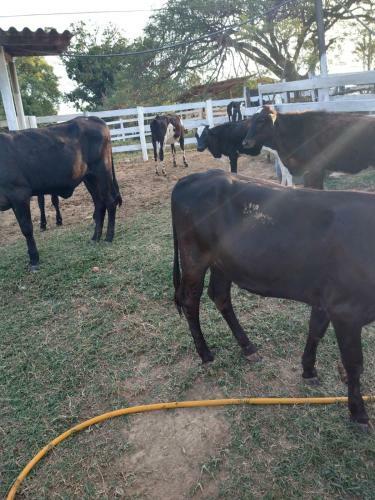 Agroturismo Estancia Montagner