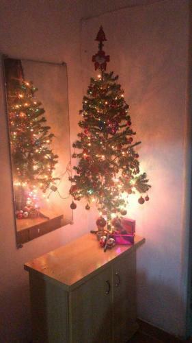 Dona Maura - Hospedagem Domiciliar