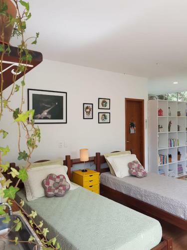 Araras Loft Com Vista Deslumbrante