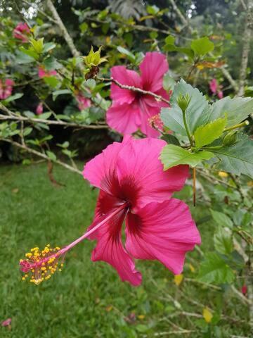 Araras Loft Com Vista Deslumbrante