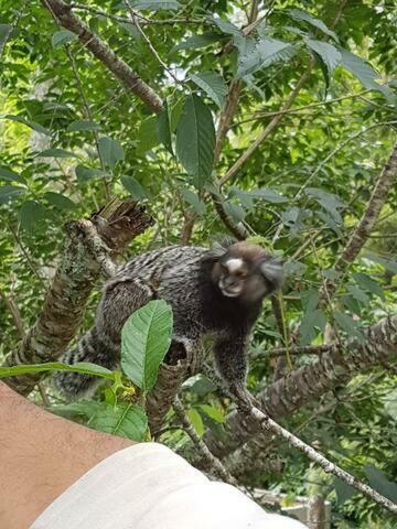 Araras Loft Com Vista Deslumbrante