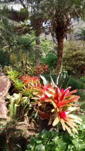 Araras Loft Com Vista Deslumbrante